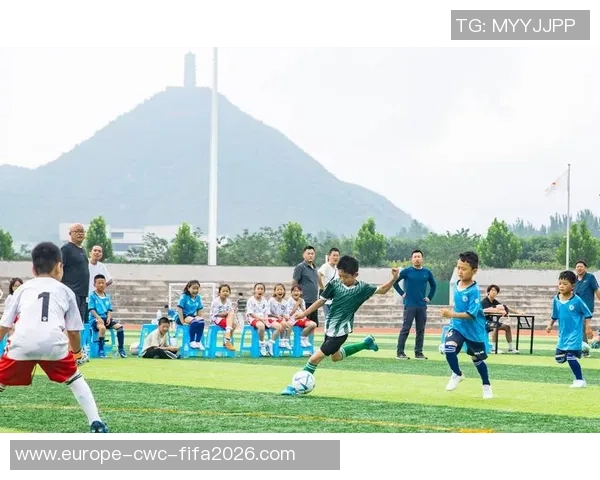 激情四溢的2010足球世界杯盛宴点燃全球热情与梦想